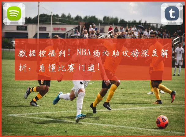 数据控福利!NBA场均助攻榜深度解析,看懂比赛门道!