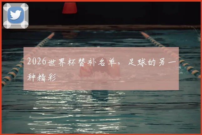 2026世界杯替补名单,足球的另一种精彩