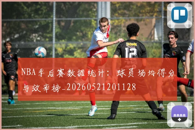 NBA季后赛数据统计：球员场均得分与效率榜_20260521201128