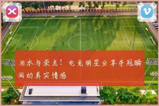 泪水与荣光!电竞明星分享夺冠瞬间的真实情感