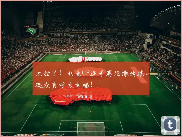 太甜了!电竞CP选手赛场撒狗粮,观众直呼太幸福!